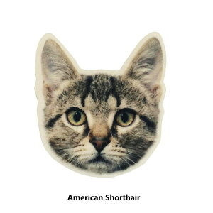 猫 雑貨 コースター フェルト Animal Mask Coaster American Shorthair（猫 雑貨 コースター フェルト おしゃれ）