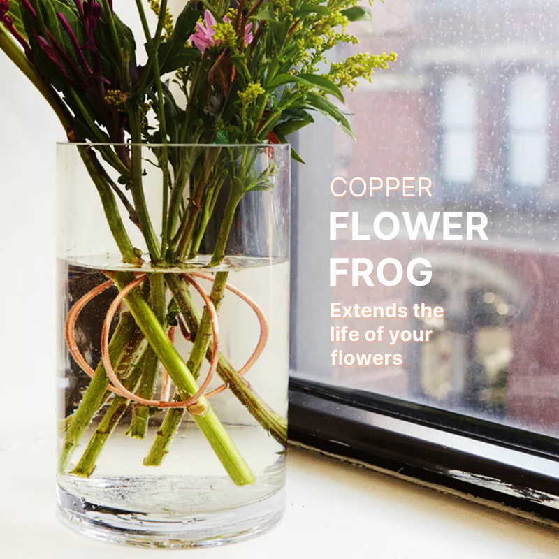 α åѡ ե եå Copper Flower Frog α 磻䡼   󥸥