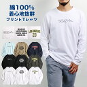 【ラストスパート全品20%OFFクーポン!! 5/16 1:59まで】Tシャツ 長袖 メンズ 長袖Tシャツ ロンT カットソー トップス プリント アメカジ カ...