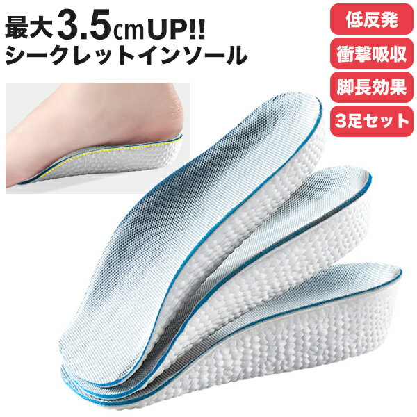 ӥ塼񤤤Ⱦۥݥۥåȥ󥽡 󥽡 ׷ۼ å 3å 3­å  ǥ ˽ 1.5cm 2.5cm 3.5cm Ĺå ʿ­ͽ