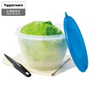 Tupperware レタスキーパー＆コアラー レタス専用 保存容器 B0124 タッパーウェア