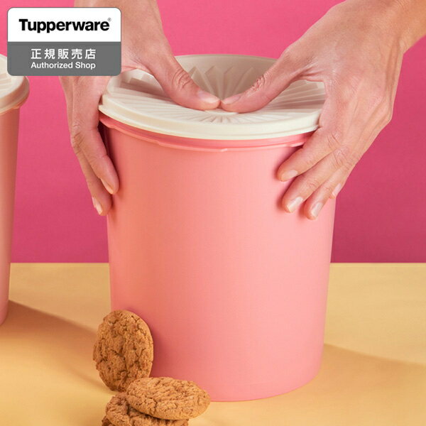 Tupperware VC グランプリデコレーター L 2750ml 密閉容器 保存容器 タッパーウェア D2312