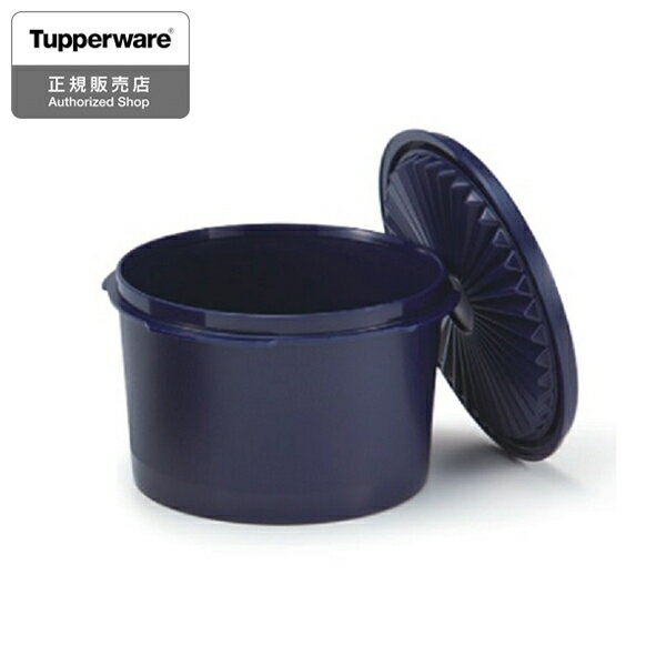 Tupperware ミニデコレーター 1 ノクターナルシーブルー 密閉容器 保存容器 B1012 タッパーウェア D2311