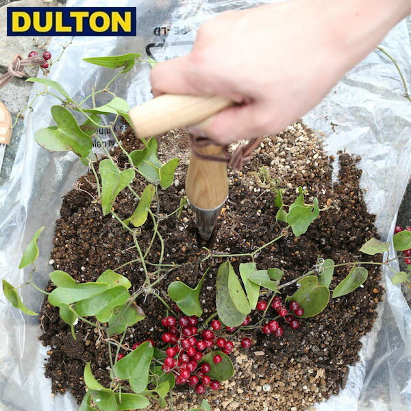 ں߸˸¤DULTON DIBBER (֡K955-1222) ȥ ȥꥢ ꥫ ơ  ǥС