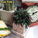 DULTON SOLID PLANTER CUBE S ROUGH GRAY yiԁFA655-758SRGz _g C_XgA AJ Be[W jO \bh v^[ L[u S