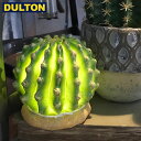 【5/1限定、全品P3倍〜12倍】DULTON CACTUS L.E.D LIGHT TYPE-D (品番：G755-916D) ダルトン インダストリアル アメリカン ヴィンテージ 男前 カクタスLEDライトD