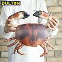 DULTON tBbV[Y uE Nu 25 FISHES BROWN CRAB 25 yCODEFY-0515z _g C_XgA jO