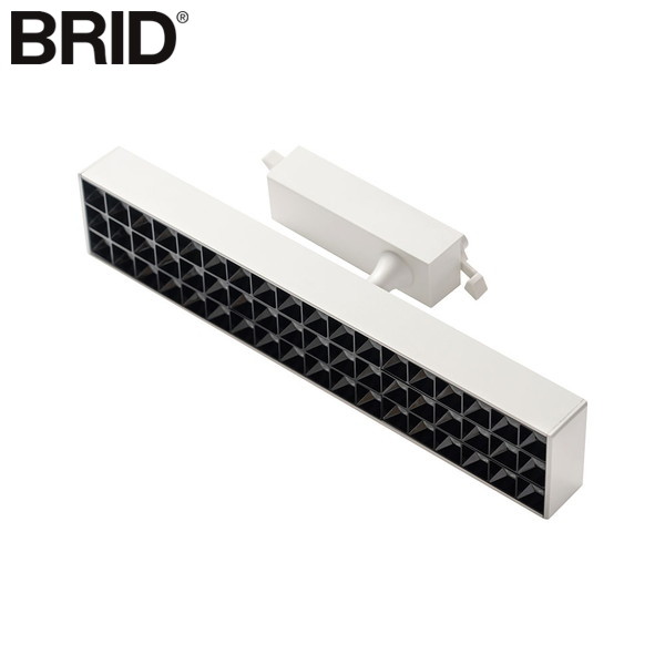 【P10倍】BRID LED SPOT LIGHT for PLANTS 30W Cool White 照明 植物 光合成 ブリッド LED スポットライト for プランツ クール ホワイト D2310