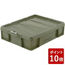 【店内全品ポイント5倍〜10倍】蓋付きコンテナボックス ラッチコンテナ 浅型 30WB 3000ml グリーン リッチェル