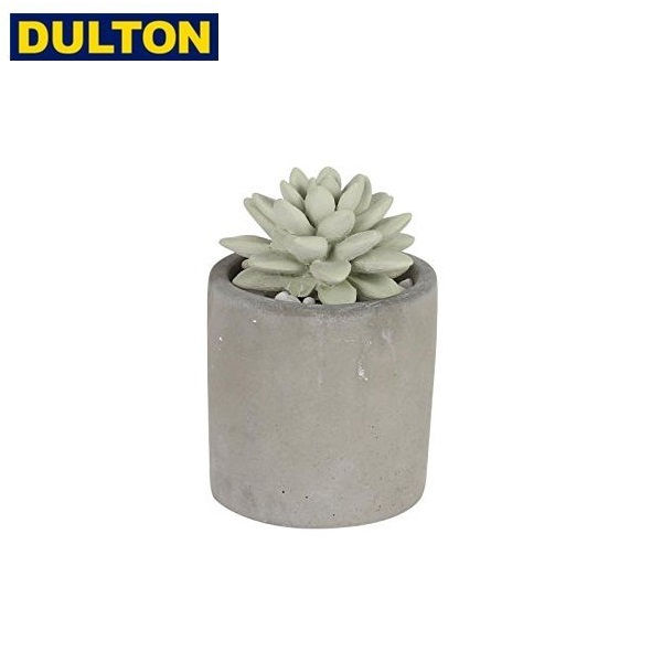 DULTON gWF tOX fBt[U[ WATER LILY G875-959 _g