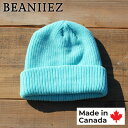 Beaniiez 『Accent Acrylic』 Mint カナダ製 ショートビーニー ニットキャップ アクリル ユニセックス 洗濯可