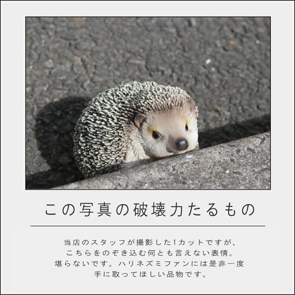 【特典付】( ハリネズミのお役立ち貯金箱 PET BANK HEDGEHOG ペットバンク ヘッジホッグ ) 貯金箱 小銭入れ アニマル かわいい インテリア おしゃれ 北欧 置き物 卓上 デスク 書斎 トイレ 玄関 リビング キッチン ゆるキャラ マンション 賃貸 ペット不可 玄関 エントランス [3]