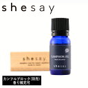 【特典付】【メール便送料無料】【ポイント10倍】( 清涼感あふれる爽やかな香りのカンフル オイル 10ml ) シーソー 志成販売 補充用 カンフルブロック 精油 エッセンシャルオイル 加湿器 空気清浄機 ディフューザー 使用可 楠 リラックス 買い回り マラソン 161099(4)