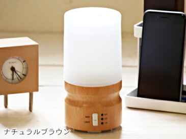 【期間限定 1300円OFFクーポン発行中】アロマランプディフューザー【送料無料/あす楽対応/グローバルプロダクトプランニング/GPP/ナチュラルブラウン/ダークブラウン/アンティークホワイト】