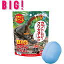 【5％OFFクーポン】( 学研の図鑑 LIVE カブトムシ カブトムシ BIG バスボール ) 1個から 組み合わせ 自由 単品 ばら売り お風呂 入浴剤 入浴料 マスコット入り バス 面白い 昆虫 GKN-8-01