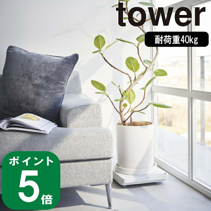 ( Ω   ) tower ¶  饤  ۡ५  ҡ տʪ Ȣ ȥå...