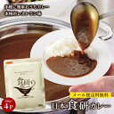 日本食研 カレー 食研カレー レトルトカレー 中辛 セット 非常食 ひと手間 保存 レシピ 簡単 コロナ対策 備蓄 定番料理 隠し味 メール便 200g 4袋