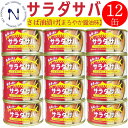 さば缶詰 木の屋 石巻 サラダサバ まろやま醤油味 170g 12缶 鯖缶