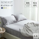 ＼クーポンで4%OFF！／3枚目無料 ボ