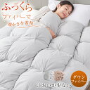 ダウンファイバー布団 掛け布団 暖かい 布団 暖かい布団 羽毛布団に負けない暖かさ 掛け布団 シングル かけ布団 羽毛ファイバー布団 羽毛より暖かい 掛け布団 冬 掛け布団 極暖 羽毛ファイバー 掛け布団 あったか 掛け布団 洗える 掛けふとん 掛布団 NENEKO