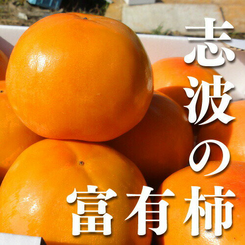 アイテムID:14130186の画像1枚目