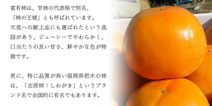 アイテムID:14130186の画像3枚目