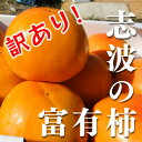 【送料無料】【ブランド柿】訳あり！福岡県産志波柿 冷蔵柿 M〜L混合 約11個 【富有柿】ご家庭用 産地直送 ジューシー かき 甘い 鮮やか フルーツの里