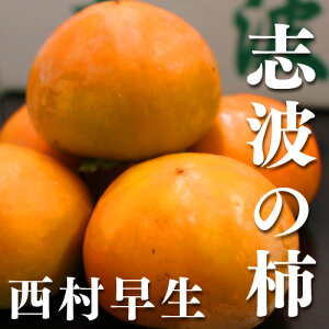 【送料無料】(朝倉市特産品) 福岡県産志波柿 西村早生 Sサイズ 約14個 (ブランド柿) (柿)かき ギフト 産地直送 硬め かため さっぱりとした甘味 美味しい 人気商品 フルーツ カキ