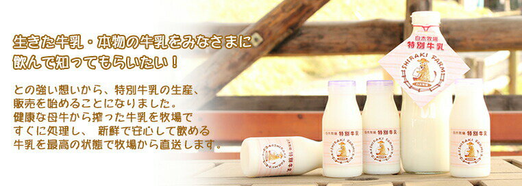 【送料無料】ジャージー牛乳低温殺菌牛乳白木牧場の特別牛乳720ml×2本セット(こだわりの牛乳)