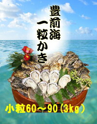 【送料無料】【福岡県産】豊前海一粒牡蠣殻付きかき/牡蠣3kg(小粒/60〜90個入り)【産地直送】
