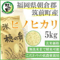 【みなみの里】福岡県朝倉郡筑前町産ヒノヒカリ玄米5kg【玄米から精米、無洗米までつき方選べます】