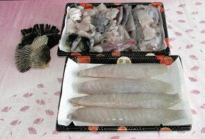 【長崎県産】高級とらふぐ刺身・しゃぶしゃぶ用ブロック+アラ、皮セット(ヒレ酒用ヒレ付き)3〜4人用