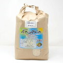 大分県産　原農園　にこまる　白米　10kg【減農薬栽培特別米】【アートテン農法・抗酸化農法・有効微生物農法】