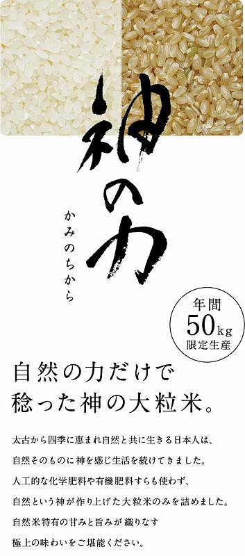 【送料無料】北村広紀の自然米「神の力」白米 コ...の紹介画像3