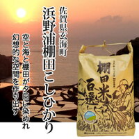 棚田米11