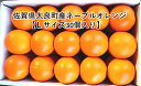 【送料無料】佐賀県太良町産　ネーブルオレンジ　Lサイズ 2L
