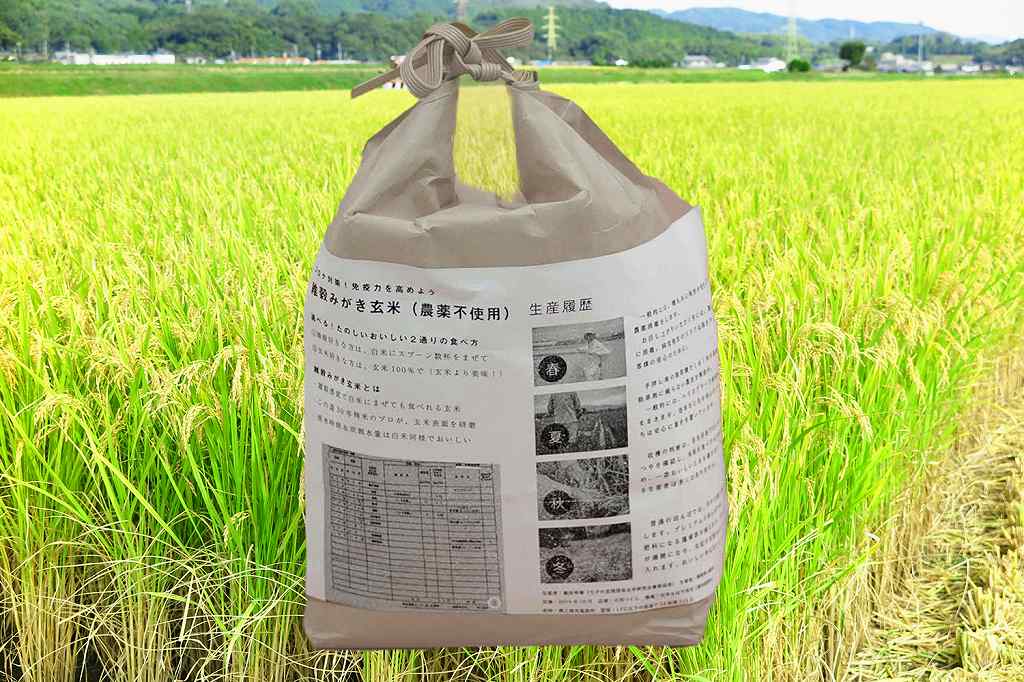 【送料無料】雑穀みがき玄米 1500g 産地直送 佐賀県産