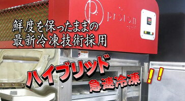 冷凍機すべてこれで冷凍処理