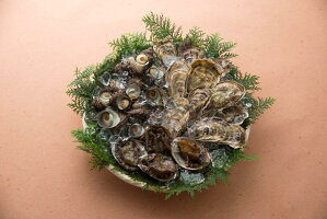玄海磯の味わい贅沢セット
