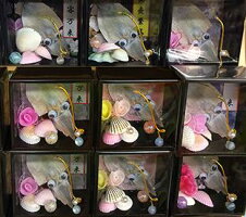 升の華画像