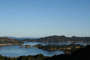 【送料無料】玄海町サザエ(1.5キロ)