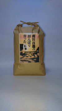 【送料無料】(30年産新米)浜野浦棚田こしひかり3kg