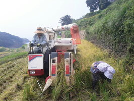 【送料無料】(30年産新米)浜野浦棚田こしひかり3kg