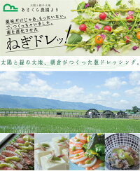 葱ドレ
