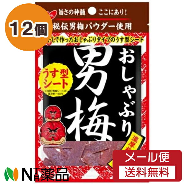 【メール便送料無料】ノーベル製菓 おしゃぶり 男梅 うす型シート (10g) 12個セット