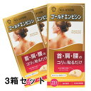 【定形外郵便】日進医療器 ゴールドエンピシン(円皮鍼) 21本入×3個セット(4)