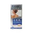 【定形外郵便】日進医療器 シルバーエンピシン(円皮鍼) 21本入(4)