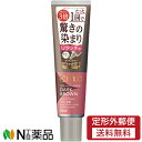 【定形外郵便】ホーユー CIELO(シエロ) カラートリートメント リタッチ用 ダークブラウン (140g) <白髪染め カラートリートメント>