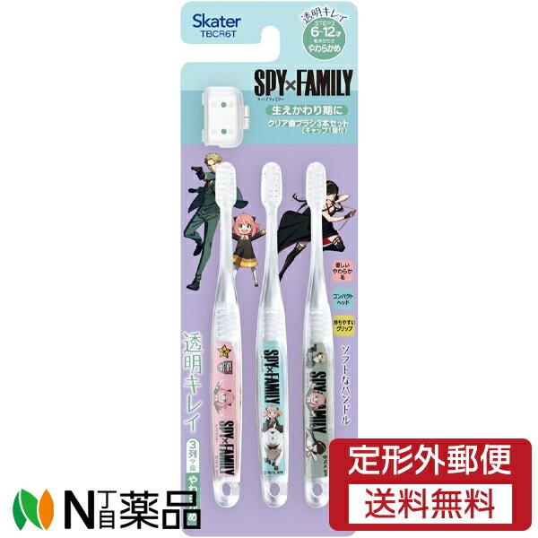 【定形外郵便】スケーター クリア 歯ブラシ 小学生用 SPY×FAMILY [TBCR6T] (3本入) 1個 ＜こども用　ハブラシ　生えかわり期　スパイファミリー＞※デザイン変更する場合があります
