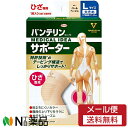 【メール便送料無料】興和 バンテリン コーワ サポーター ひざ専用 Lサイズ(大きめサイズ) パールベージュ (1枚入) <テーピング 歩行をスムーズに 膝専用>